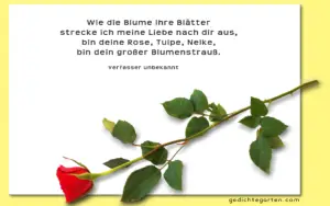 Blume - Liebe - Gedicht