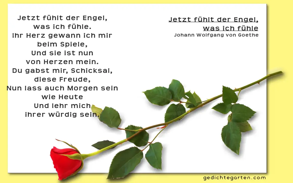 Engel - Was ich für dich fühle - Johann Wolfgang von Goethe