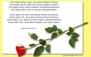 Friedrich Rückert - Ich liebe dich - Gedicht