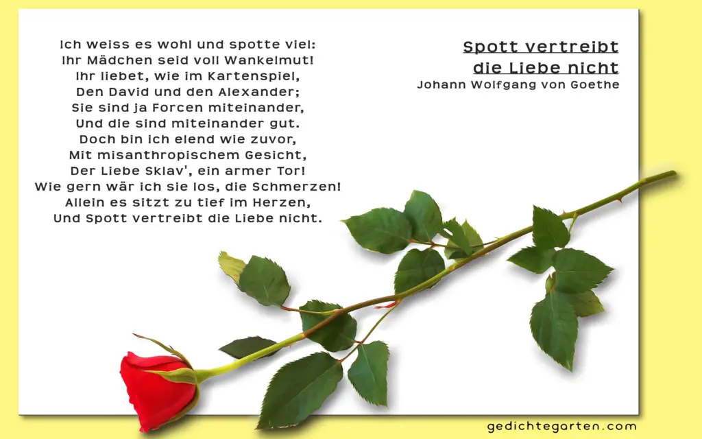 Spott vertreibt die Liebe nicht - Johann Wolfgang von Goethe