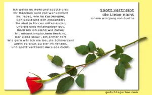 Spott vertreibt die Liebe nicht - Johann Wolfgang von Goethe