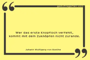 Johann Wolfgang von Goethe - Knopfloch - Zitat