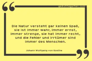 Johann Wolfgang von Goethe - Leben - Menschen - Natur