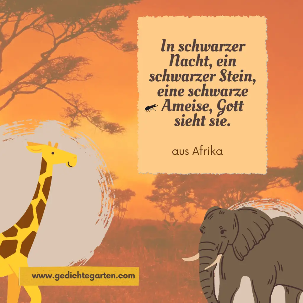 Afrika Zitat Ameise Gott