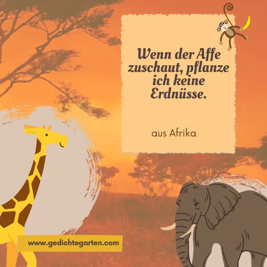 Affe zuschaut - Erdnüsse - Afrika Zitat 