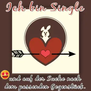 „Ich bin Single und auf der Suche nach dem passenden Gegenstück.“ – Ein Spruch, der Herzen (und Likes) erobert! 💘