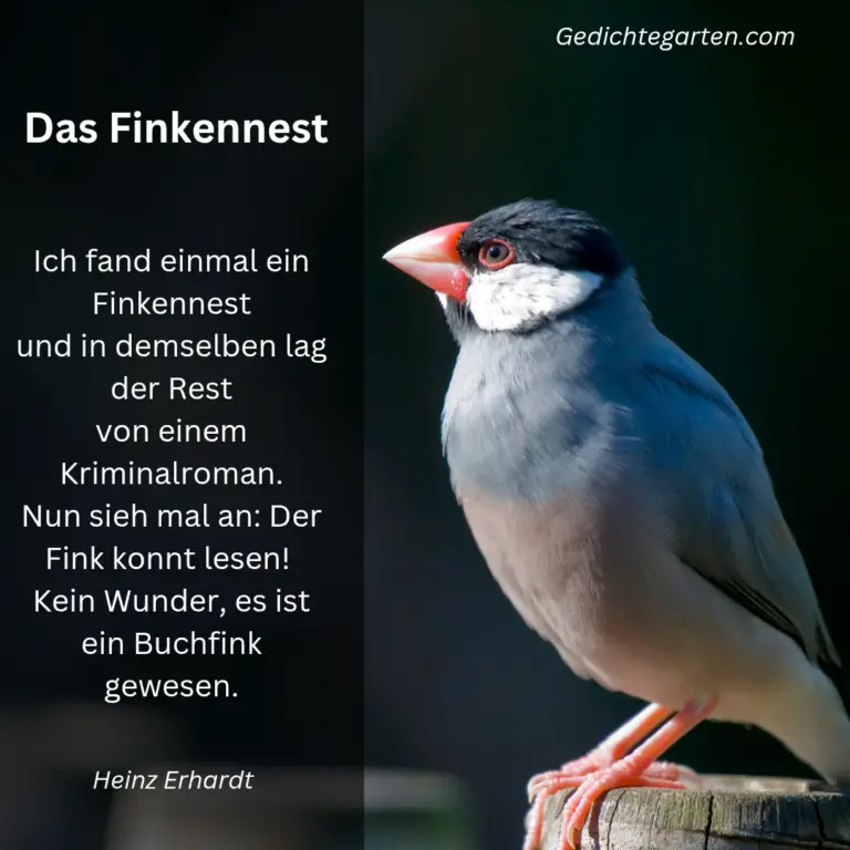 Das Finkennest – Eine Gedichtanalyse von Heinz Erhardt 🐦📖