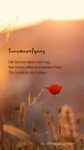 Sonnenaufgang – Ein Gedicht über den Morgen, Stille und den Tau des Lebens