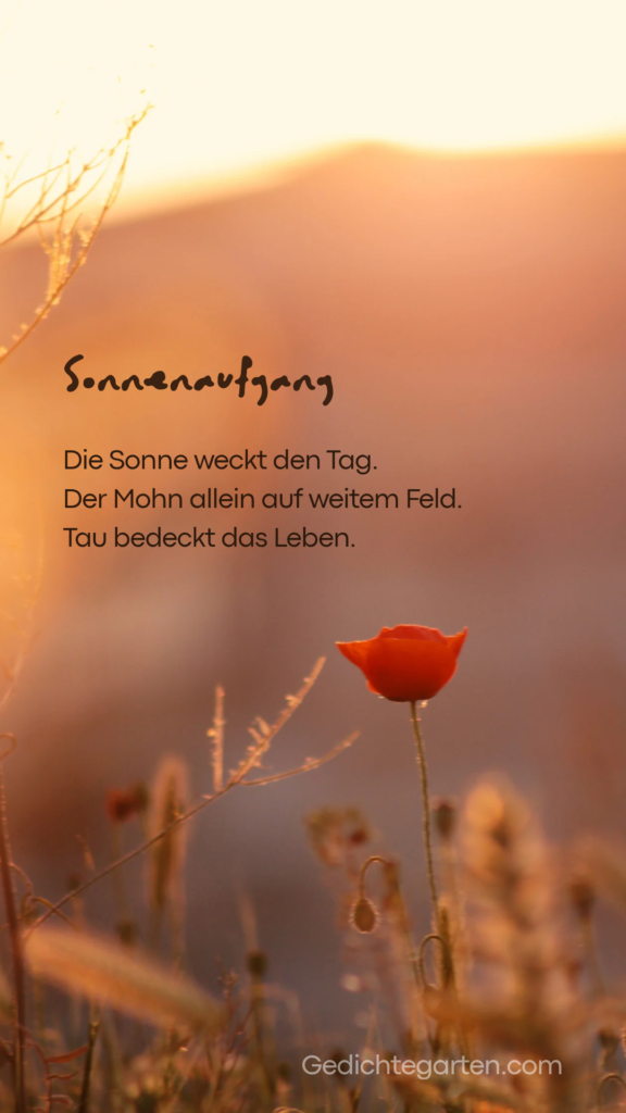 Sonnenaufgang guten Morgen 20260316 210204 0000