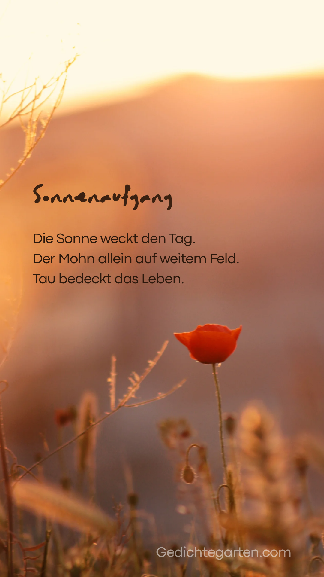 Sonnenaufgang guten Morgen 20260316 210204 0000